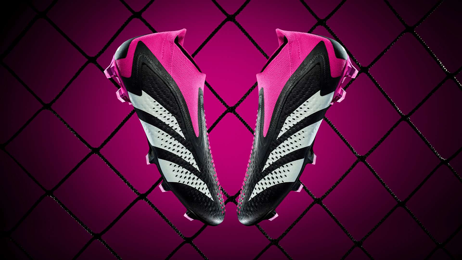 恢复训练 恢复训练